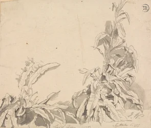 Docks, 6. September 1777